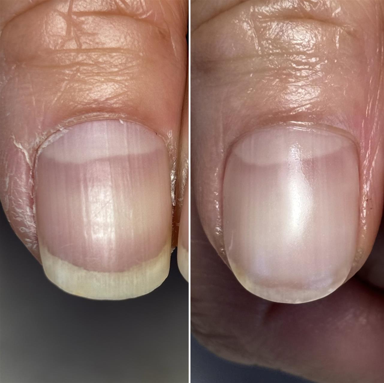 暑いからこそ🌻